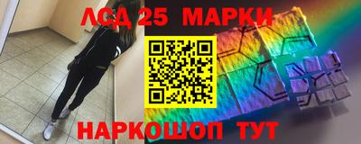 мдпв Шадринск