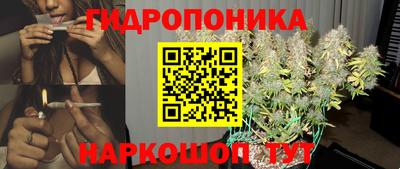 мдпв Шадринск