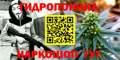 мдпв Шадринск