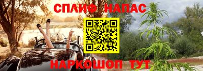 мдпв Шадринск